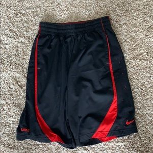 Vintage Lebron Nike shorts